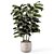 Modern Concrete Indoor Plants Set 3D model small image 2