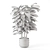 Modern Concrete Indoor Plants Set 3D model small image 4