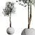 Cherry Blossom Tree St. Tropez Planter 3D model small image 2