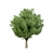 Low Poly Salix Alba Tree Pack 3D model small image 4