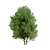 Low Poly Salix Alba Tree Pack 3D model small image 6