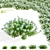 Eternal Green Iberis Flowers Pack 3D model small image 1