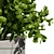 Realistic Indoor Plant 3D Bundle 3D model small image 3