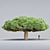 Socotra Dragon Tree 3D Model 3D model small image 1