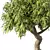 Miniature Bonsai Tree Set 3D model small image 3