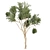 High-Quality Eucalyptus Tree Model 3D model small image 5