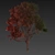 High-Quality Eucalyptus Tree Model 3D model small image 7