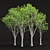 Realistic Oak Trees Model Vol.2 3D model small image 1