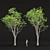 Realistic Oak Trees Model Vol.2 3D model small image 2