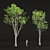 Realistic Oak Trees Model Vol.2 3D model small image 3