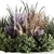 High-Quality Bush Set 06 3D model small image 6