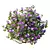 Purple Princess Flower Bush 3D Model 3D model small image 4