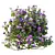 Purple Princess Flower Bush 3D Model 3D model small image 5