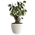 Modern Indoor Plant 531 Decor 3D model small image 1