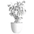 Modern Indoor Plant 531 Decor 3D model small image 3