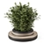 Bamboo Circle Base Outdoor Plants 3D model small image 1