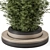 Bamboo Circle Base Outdoor Plants 3D model small image 2