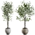 Elegant Branches Plant Vases 3D model small image 1