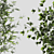 Elegant Branches Plant Vases 3D model small image 3