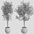 Elegant Branches Plant Vases 3D model small image 4