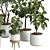 Modern Indoor Plant 3D Model 3D model small image 2