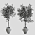 Title: Botanical Beauty Vase Display 3D model small image 4