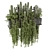 Set of Indoor Hanging Plants 3D model small image 1