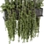 Set of Indoor Hanging Plants 3D model small image 3