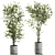 Decorative Branches in Vases 3D model small image 1