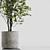 Decorative Branches in Vases 3D model small image 2