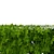 Realistic Boxwood 3D Model 3D model small image 7