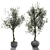 Artificial Branches in Vases 3D model small image 1