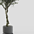 Artificial Branches in Vases 3D model small image 2