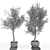 Artificial Branches in Vases 3D model small image 4