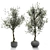 Artificial Branches in Vases 3D model small image 5