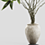 Botanical Beauty Branches in Vases 3D model small image 2