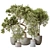 Versatile Indoor Olive Tree Set 3D model small image 1