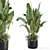 Modern Indoor Plants Set 2448 3D model small image 2