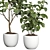 Premium 3D Indoor Plant Model 3D model small image 2