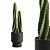 Peruvian Cacti Ornamental Elegance 3D model small image 1