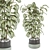 Collection of Indoor Plants 1373 3D model small image 1