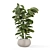 Rusty Concrete Pot Indoor Plants 3D model small image 3