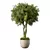 Greenery Haven Plant Set 180 3D model small image 1