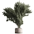 788 Tree in Pot - Indoor 3D model small image 1