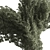 788 Tree in Pot - Indoor 3D model small image 2