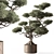 792 Indoor Tree in Pot 3D model small image 3