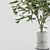 Botanical Beauty Vases | Branches 3D model small image 2